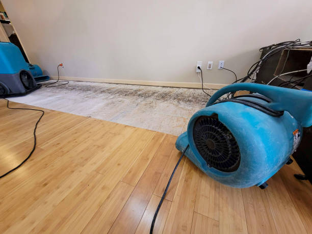 Professional Sewage Cleanup technician working in Hookerton, NC